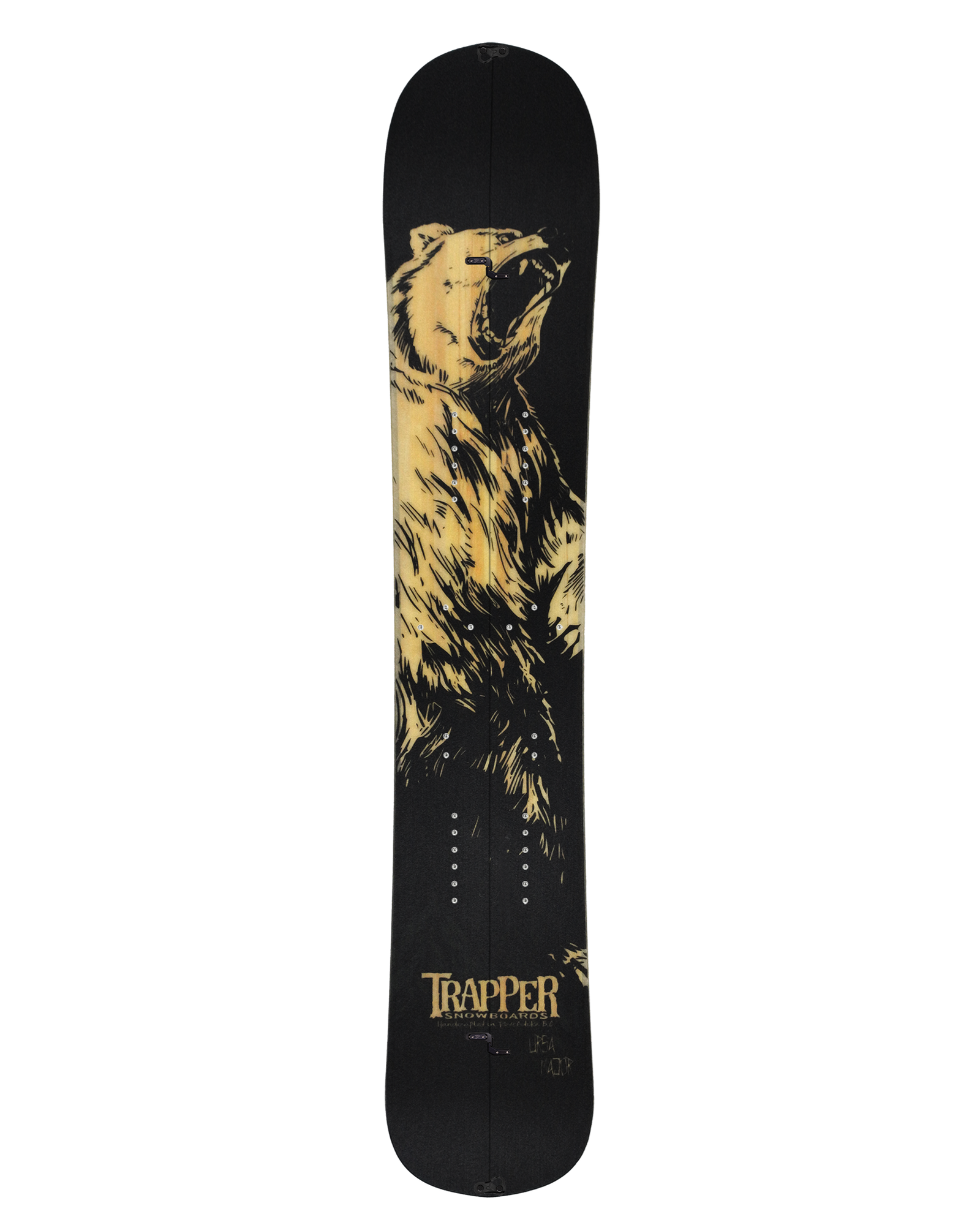 Trapper Snowboards Ursa Major Freeride Splitboard Grizzly Bear graphic Artist Shanna Duncan